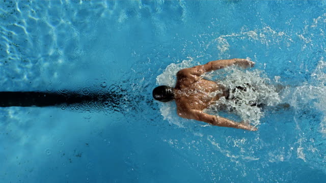HD1080p: Super Slow Motion High-Angle shot of a professional swimmer training the butterfly stroke in the lap pool. Recorded at 500 fps