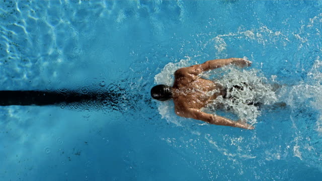 HD1080p: Super Slow Motion High-Angle shot of a professional swimmer training the butterfly stroke in the lap pool. Recorded at 500 fps